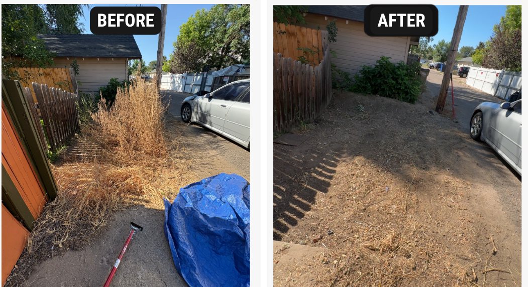 Fence line before and after: tall dry brush cleared to bare dirt