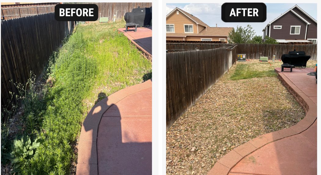 Backyard before and after: overgrown weeds cleared down to gravel