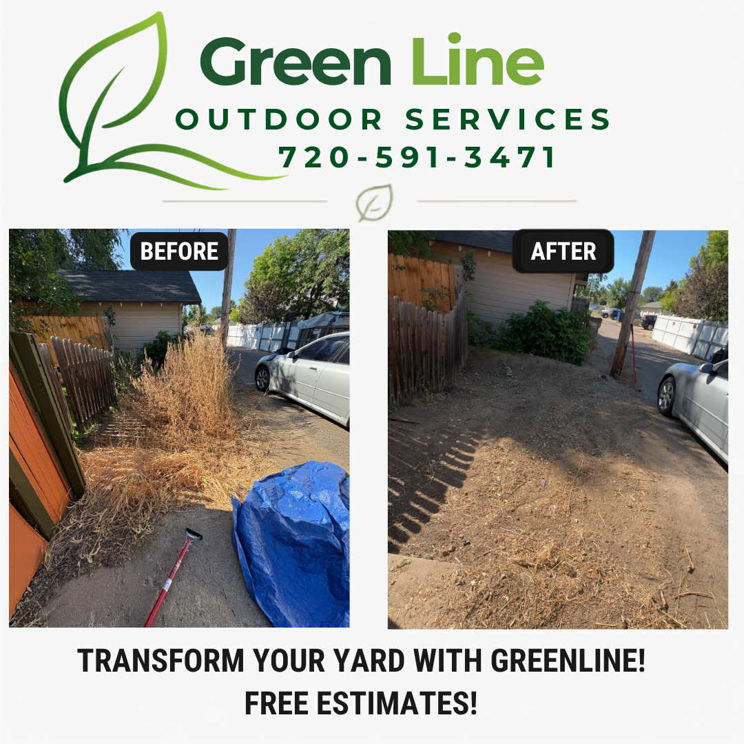 Before and after weed and brush cleanup along a fence line