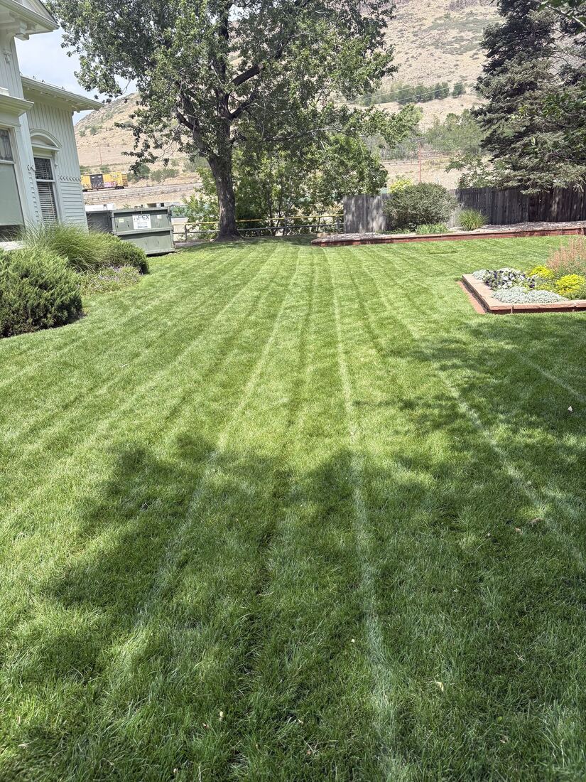 Wide lawn mowed in clean straight stripes
